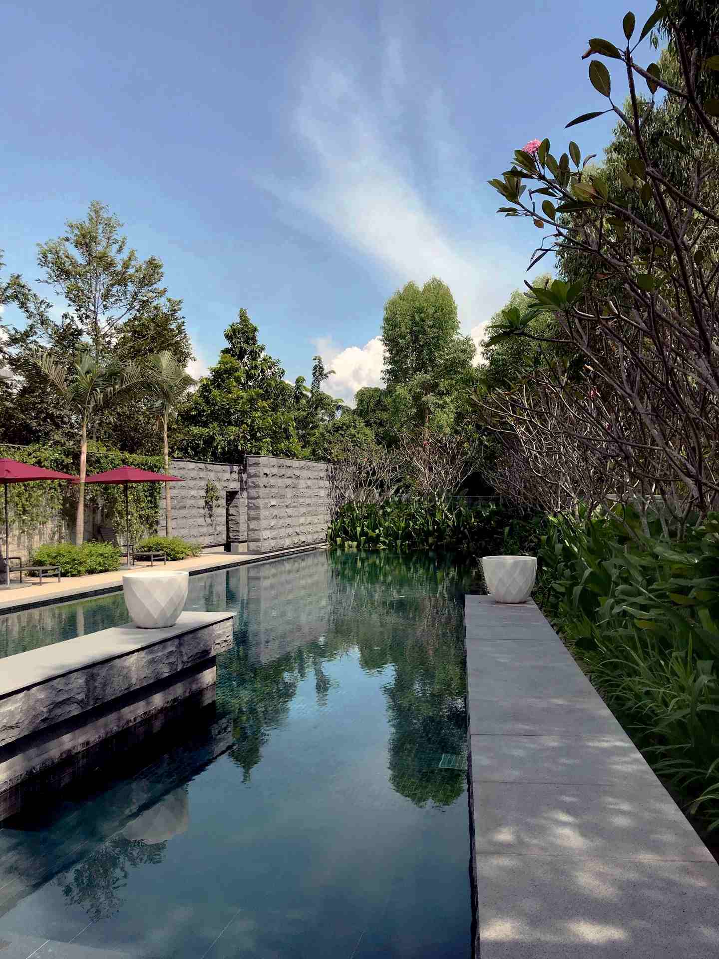 Park Manor: the pool