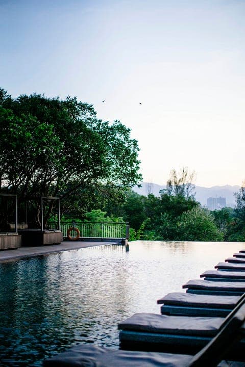 The Maple Condominium: the pool