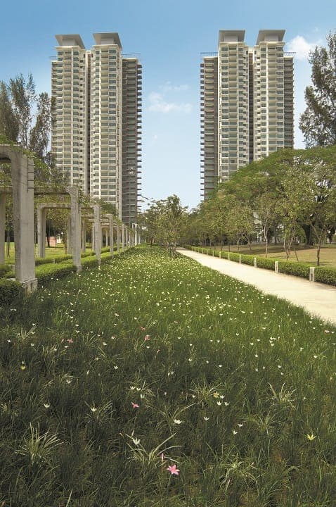 The Maple Condominium