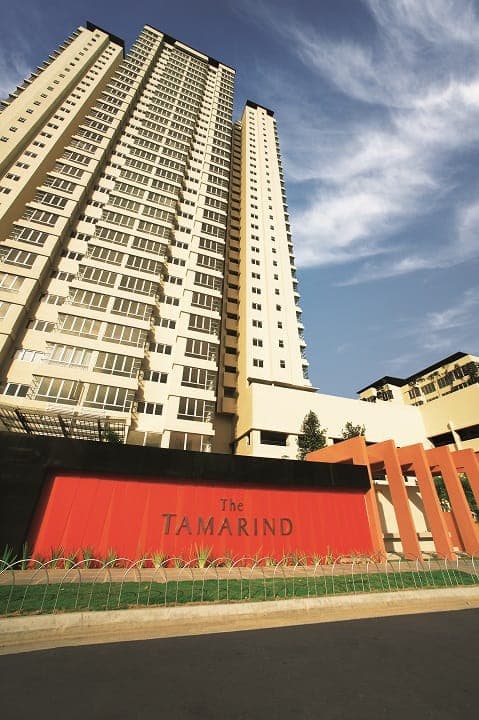 The Tamarind